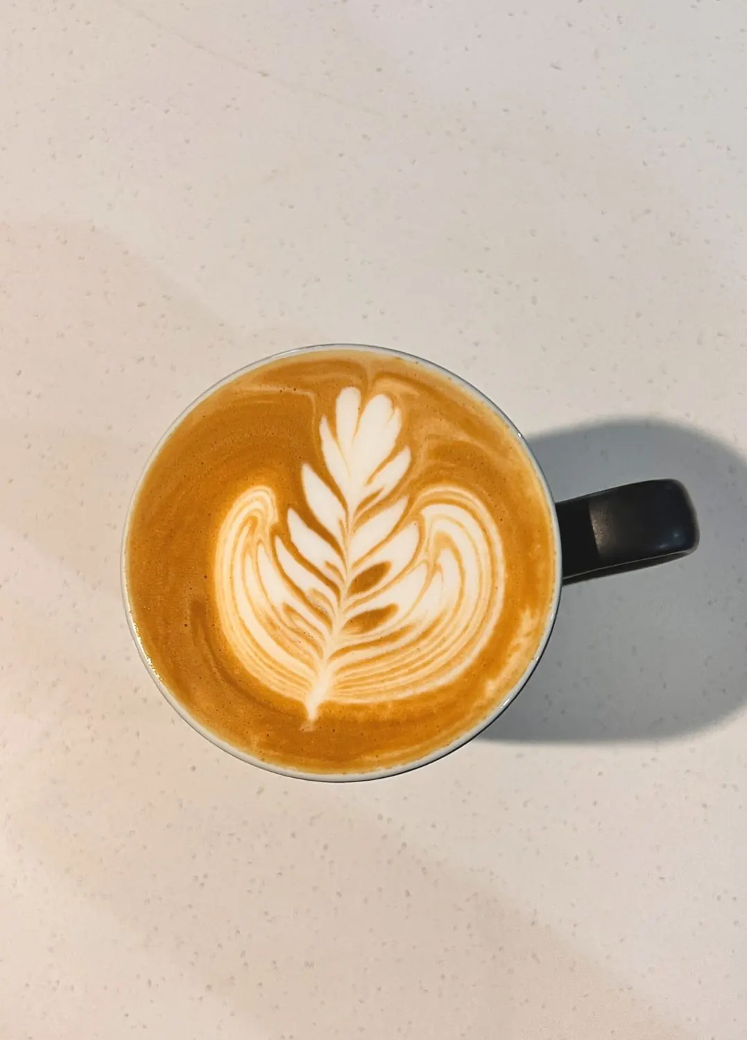 A latte with leaf pattern art in a cup.