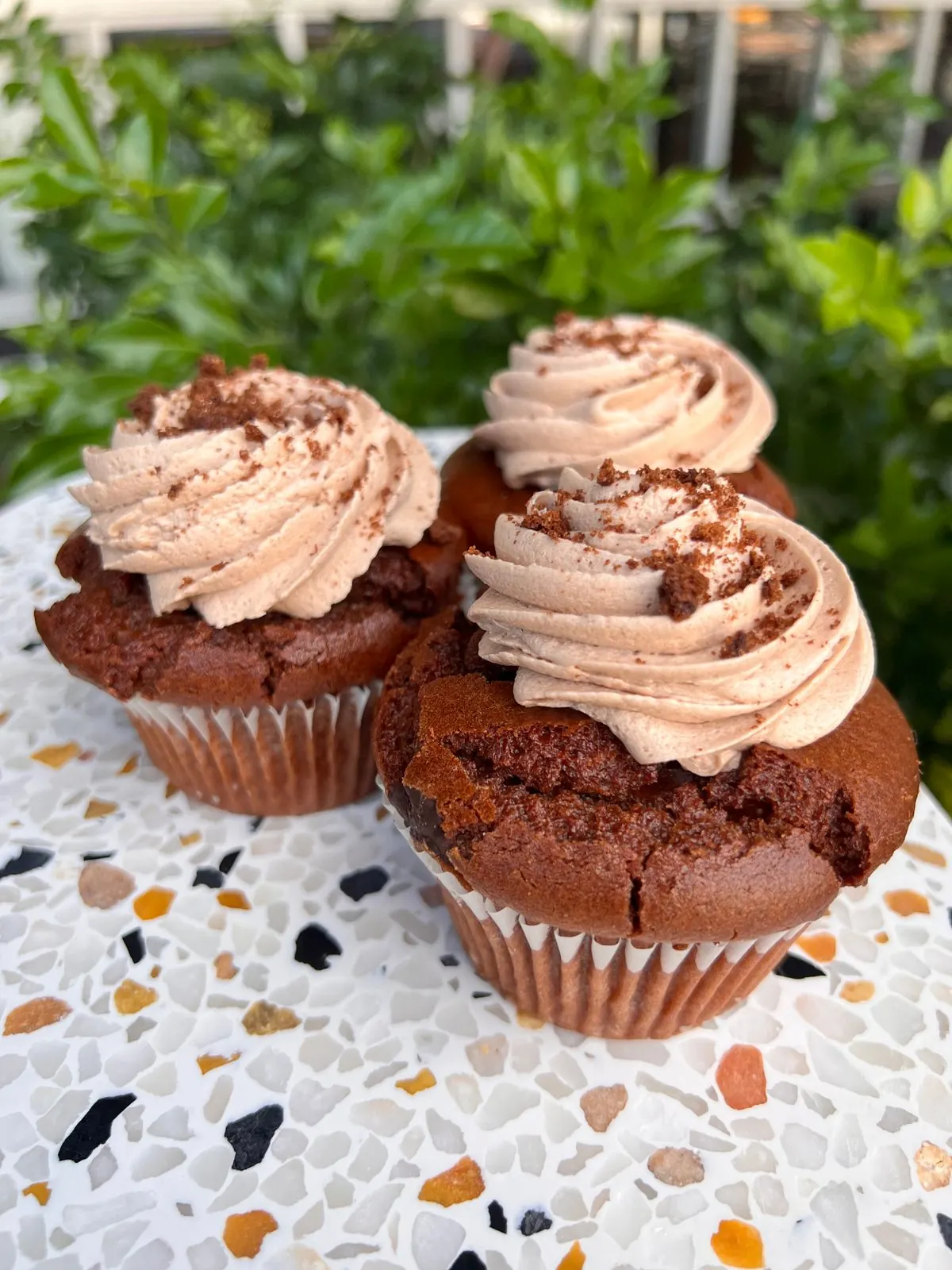 Chocolate cupcakes with piped frosting.